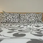 Apartment Emilia - У Центрі Міста, Приватне Паркування В Закритому Дворі